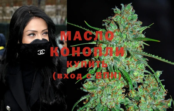 гашик Алексин