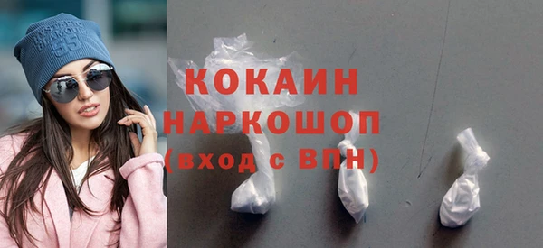 гашик Алексин