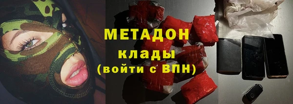 гашик Алексин