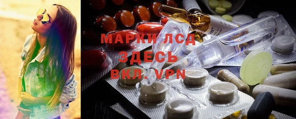 гашик Алексин