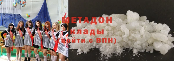 гашик Алексин