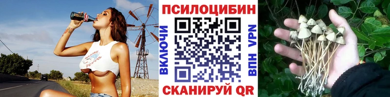 Псилоцибиновые грибы ЛСД  блэк спрут рабочий сайт  Суровикино  хочу наркоту 