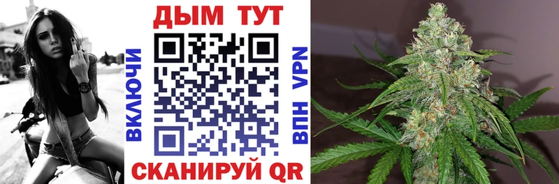 Канабис VHQ  сайты даркнета клад  Суровикино 